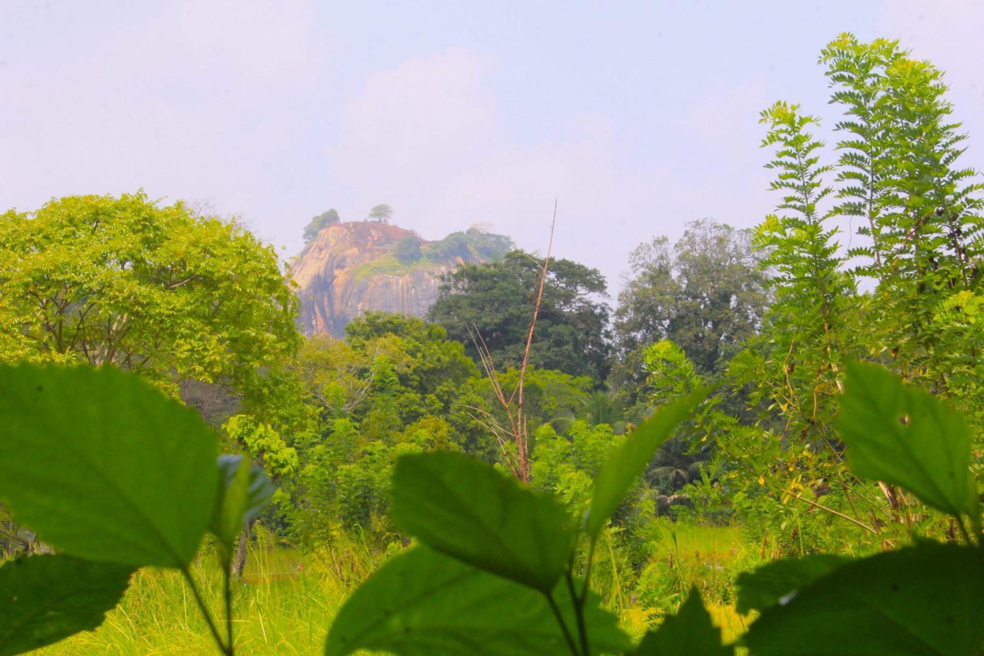 Sigiriya Palace View Екстериор снимка