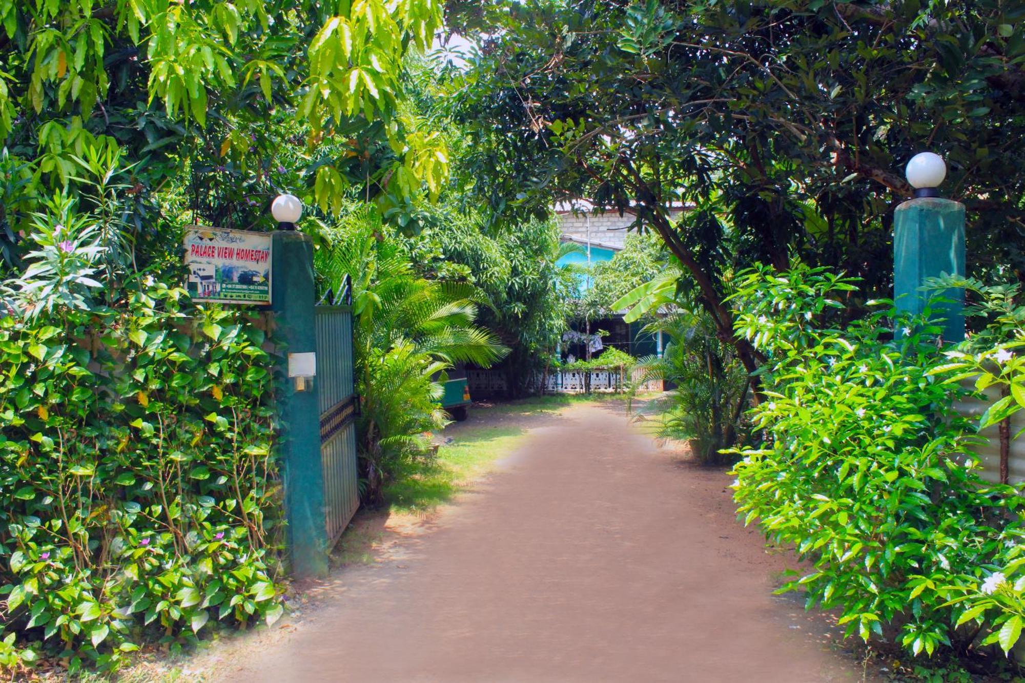 Sigiriya Palace View Екстериор снимка